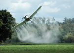 GVO-Pflanzen benötigen mehr Pestizide (Foto: iStockphoto)