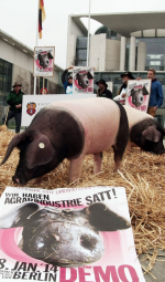 'Wir lassen die Sau raus': Schweine am Kanzleramt